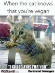 6-when-your-cat-knows-youre-a-vegan-funny-meme.jpg
