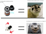 seals.png