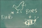 birds-bees-chalkboard-blogsize.jpg
