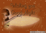 Wishing you good night.gif