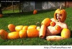 Pumpkin Centerfold.jpg