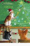 xmascats-12.jpg