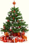 beautiful_christmas_tree_6_hd_picture_170696.jpg