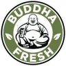 Buddha222