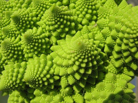 romanesco-broccoli2-550x412.jpg