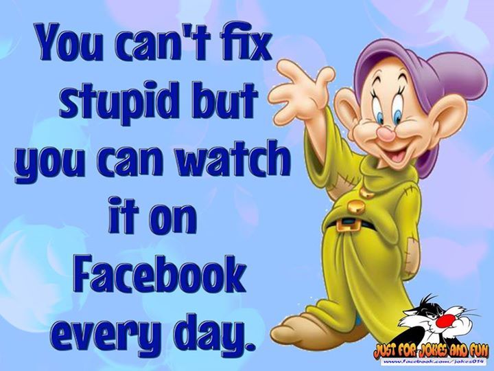 156968-You-Can-t-Fix-Stupid.jpg