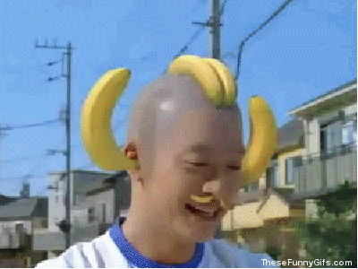 giphy.gif