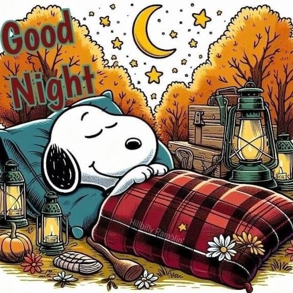 This may contain: snoopy sleeping on his pillow with the words good night above him and lanterns around it