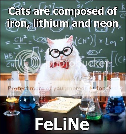 FeLiNe.jpg~original