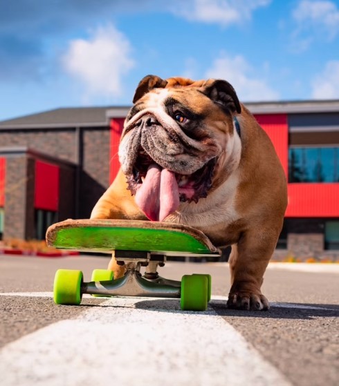 healthyhappynews.com