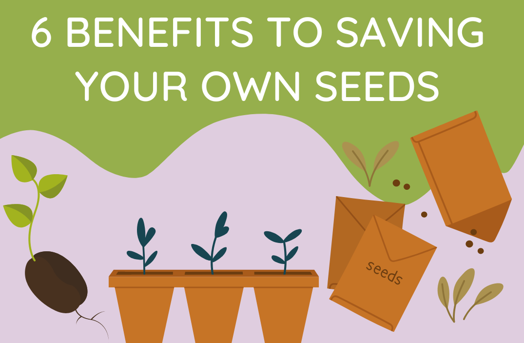 growyourownvegetables.org