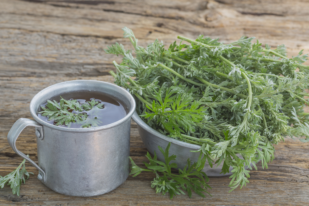 thenutritionwatchdog.com