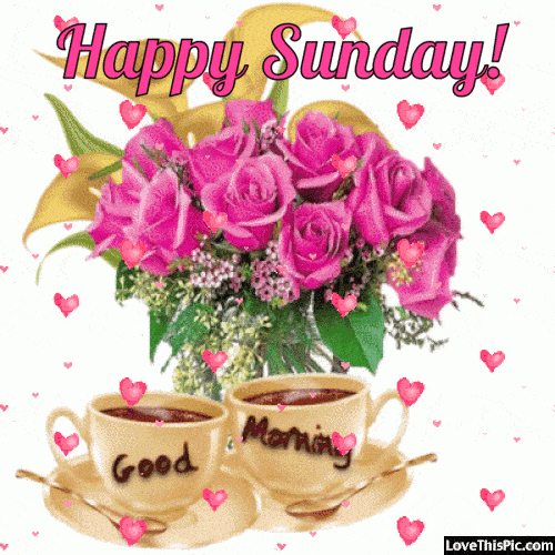 307694-Happy-Sunday-Good-Morning-Hearts-Gif.gif