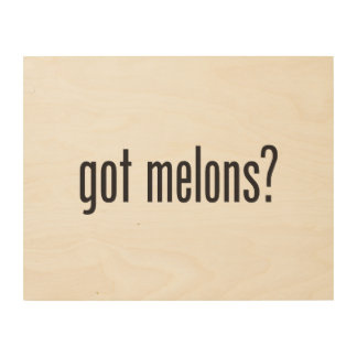 got_melons_wood_canvases-r476ce5f1bc194144924b71cfba50eef5_zfolg_324.jpg