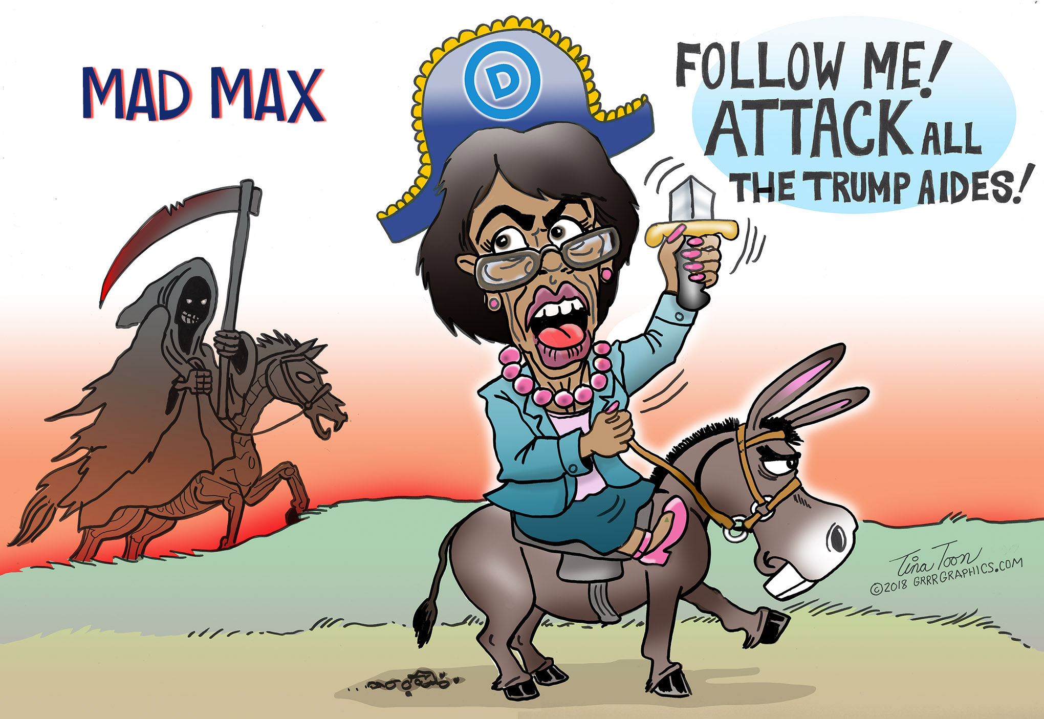 maxine_Waters-Tina-toon-.jpg