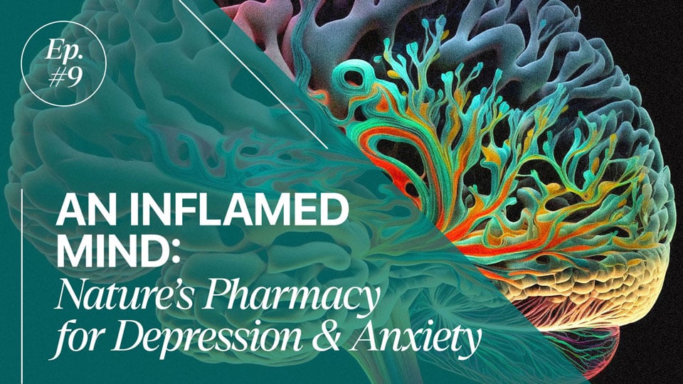 thenaturalsolution.tv