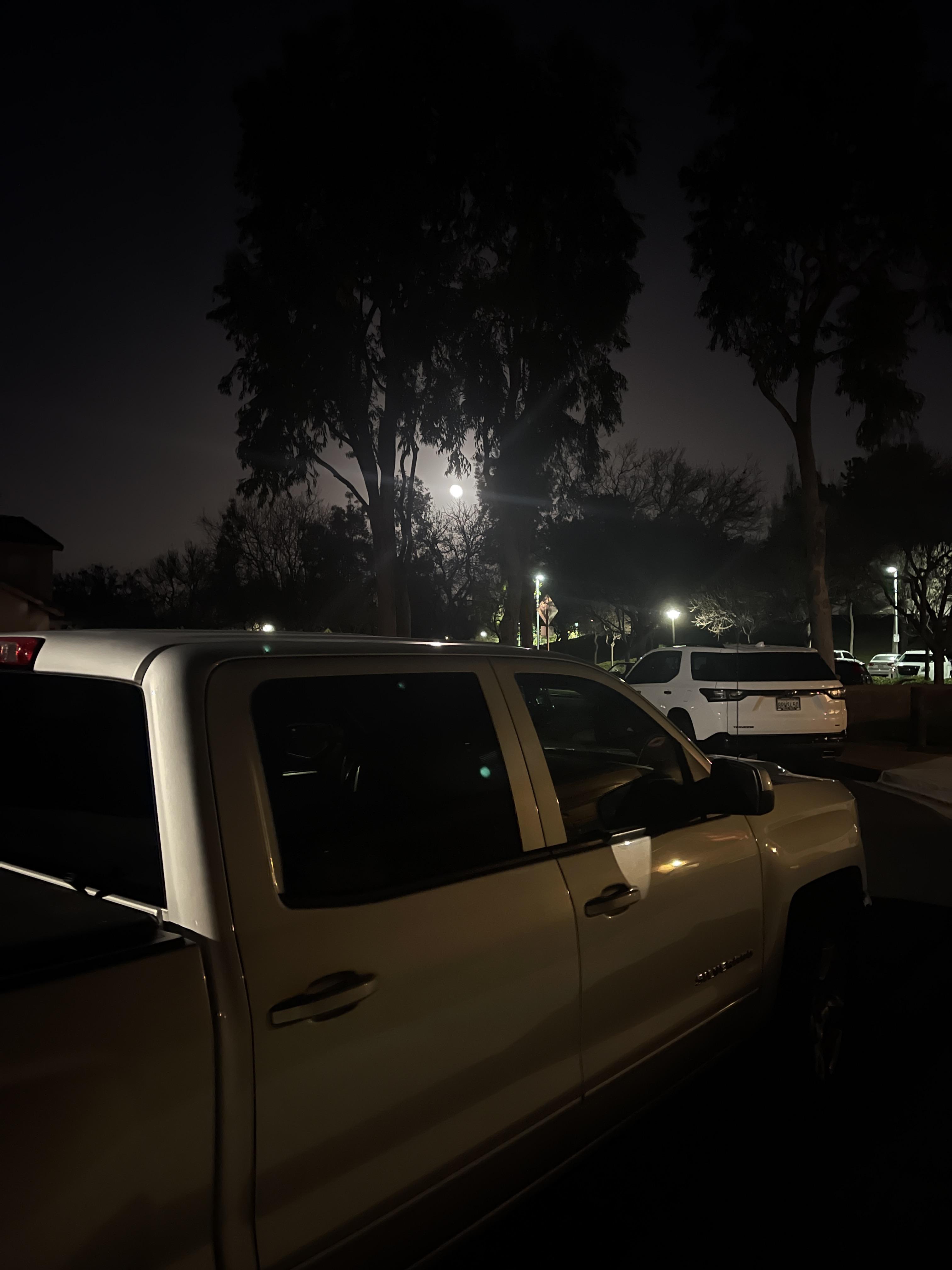 3380ec22b7fd8b8bc5c4f037e540e850.dng