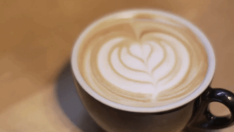 giphy.gif