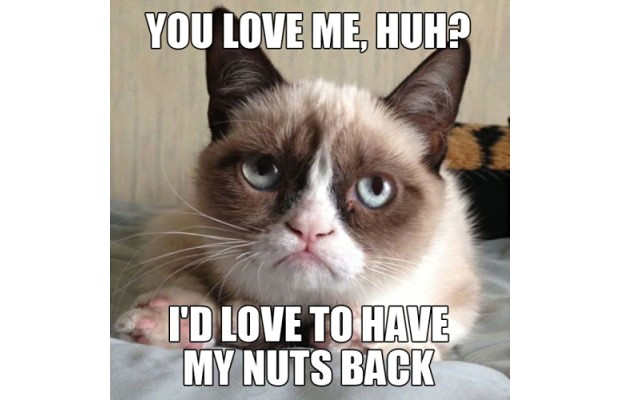 great-grumpy-cat-memes-25.jpg