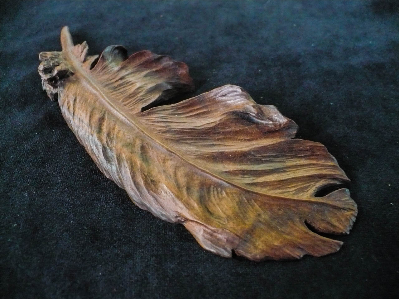 Walnut-feather-1-of-1.jpg