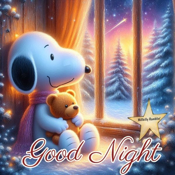 This may contain: a snoopy dog holding a teddy bear in front of a window with the words good night written on it