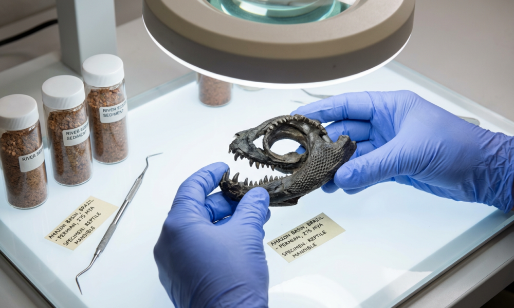 healthyhappynews.com