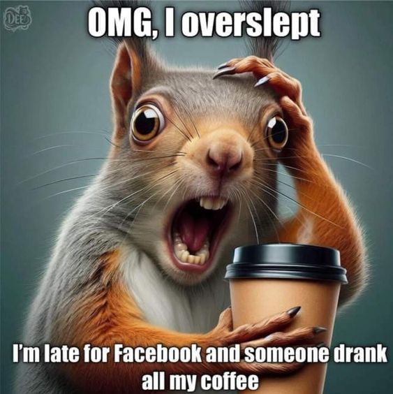 This may contain: a squirrel holding a coffee cup with the caption omg i overslept i'm late for facebook and someone drank all my coffee