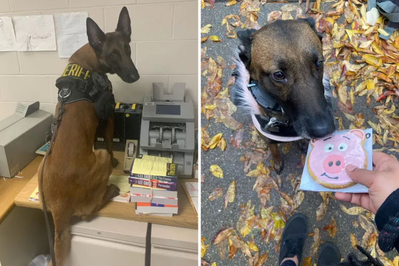 healthyhappynews.com