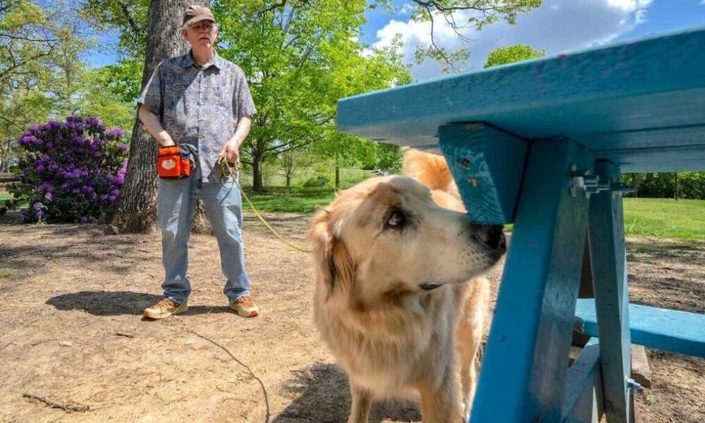 healthyhappynews.com