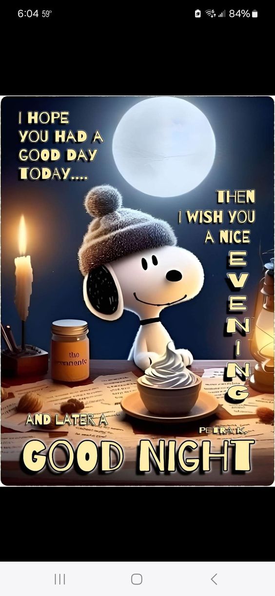 This may contain: a snoopy cartoon character is sitting in front of a lit candle with the words good night on it