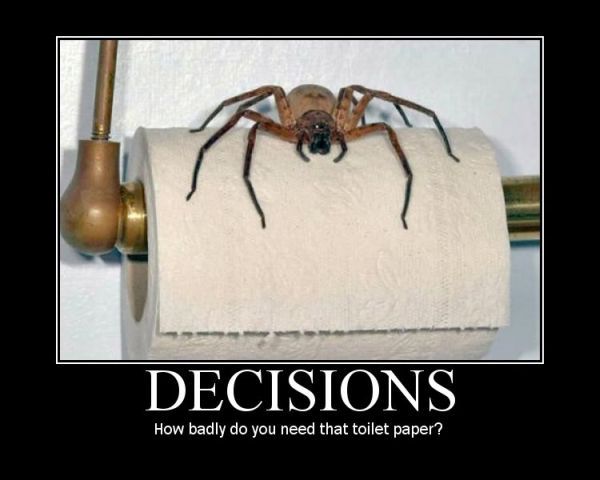 9dc91af8d53062fee021130245162a43--scary-spiders-funny-spider.jpg
