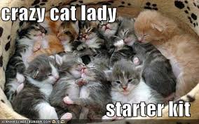 crazycatlady.jpeg