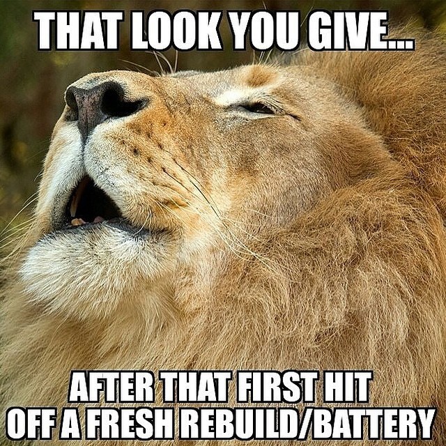 tumblr_nh7sdcyApl1u5oh1vo1_1280.jpg