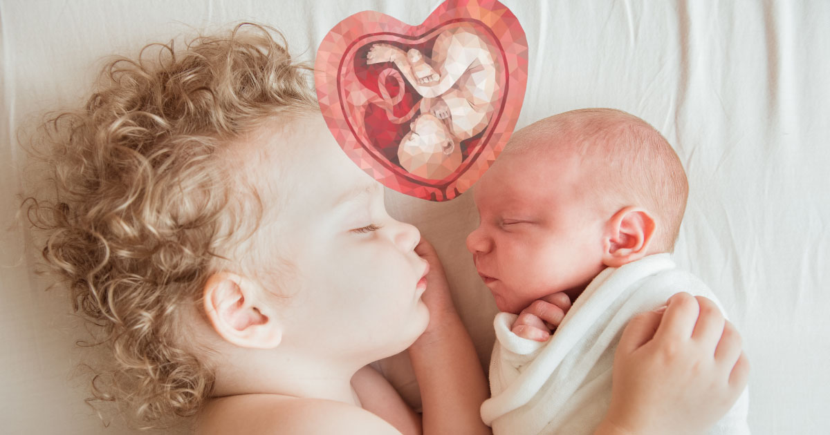 organicconsumers.org