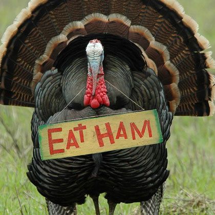 eat-ham.jpg