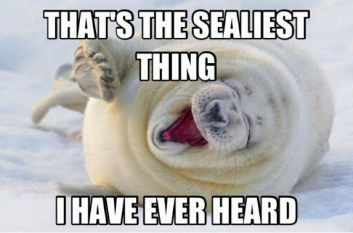 The%252520Seal%252520Pun.jpeg