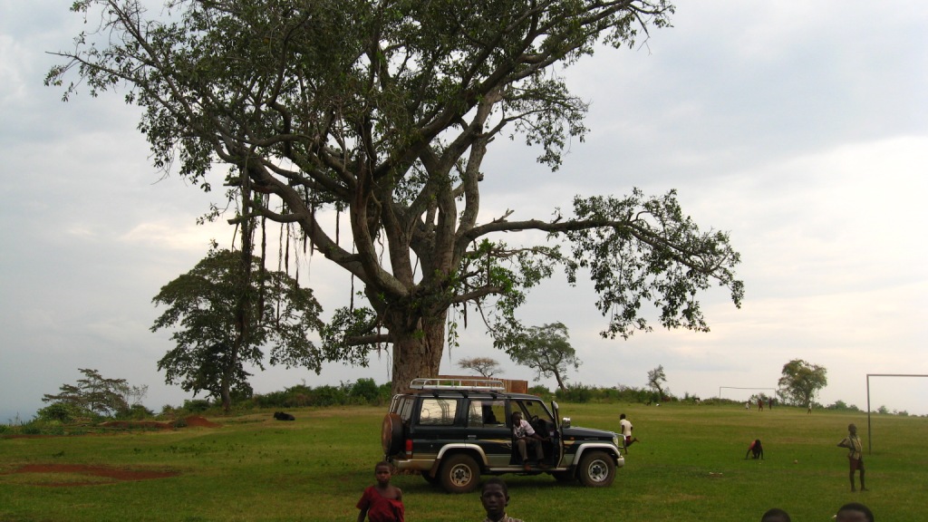 awesome-trees-of-uganda.jpg