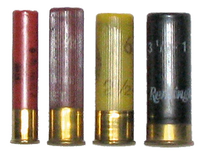 Shotgun_shell_comparison.jpg