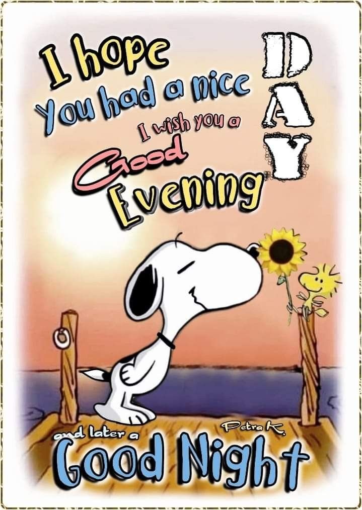 This may contain: a snoopy cartoon character with the words, i hope you had a nice good evening