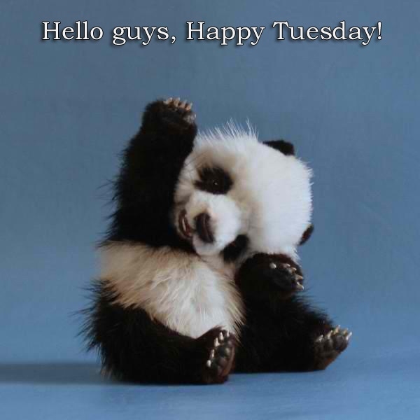 89937-Hello-Happy-Tuesday.jpg