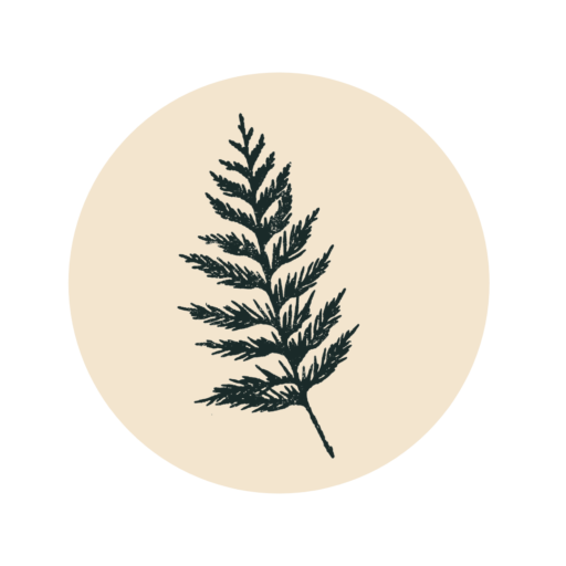 pages.aromaticmedicineschool.com