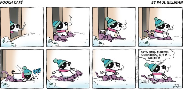 d7df29308da60132c3b5005056a9545d