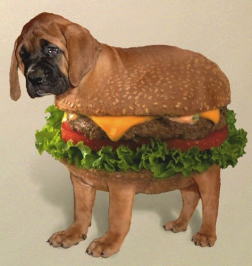 1233660-burger_dog_super.png