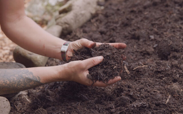 Building Soil: Compost, Fertilizers, and Cover Crops