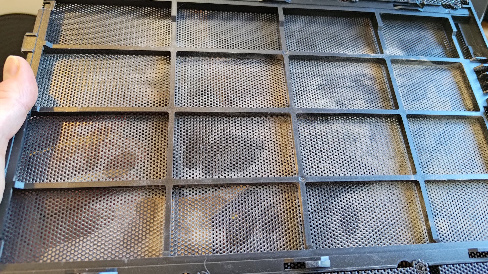 dusty03-1755114467002.jpg