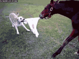 b798a78225b1dbce87ae3f2c83d67c99.gif