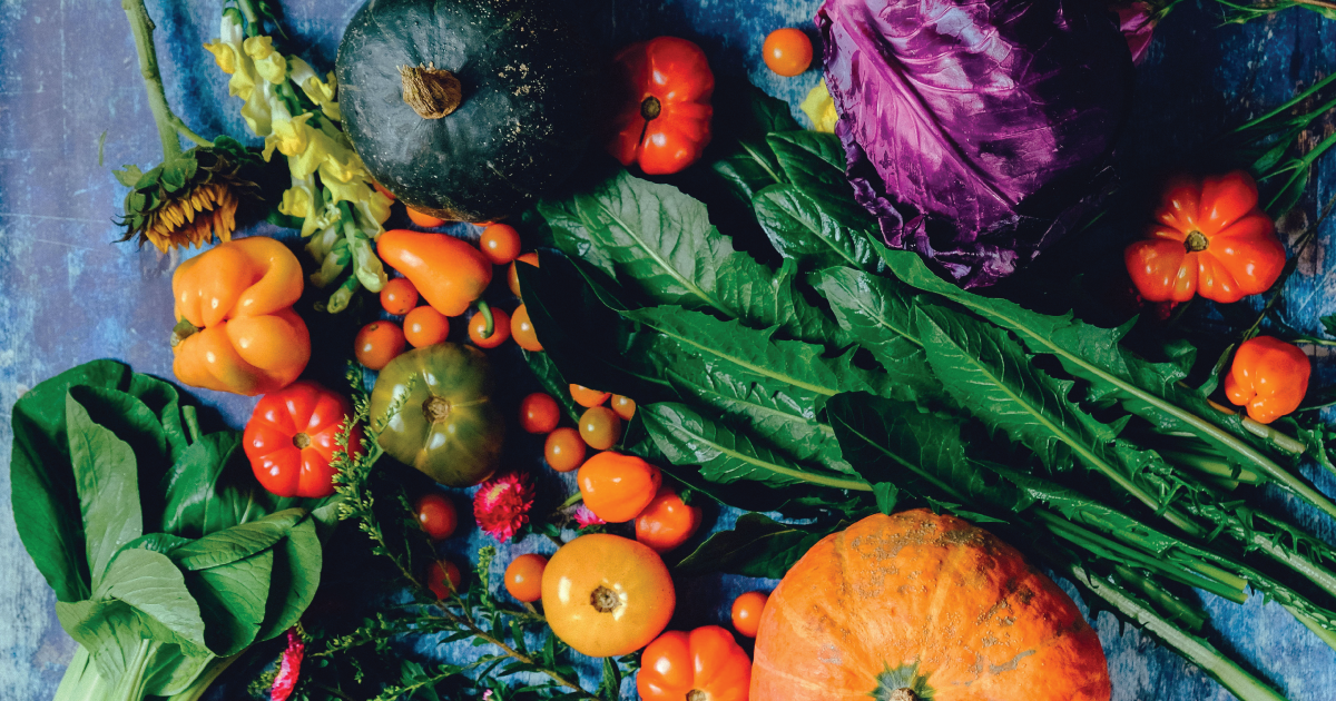 organicconsumers.org