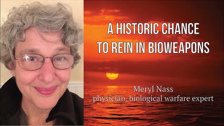 merylnass.substack.com