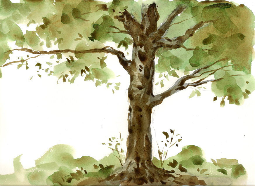 tree_sketch_by_grobles63-d3jaznr.jpg