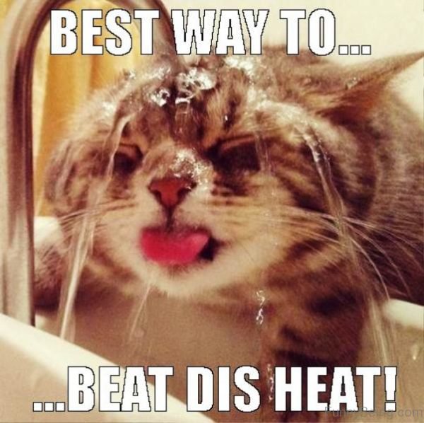 Bst-Way-To-Beat-Dis-Heat-600x598.jpg